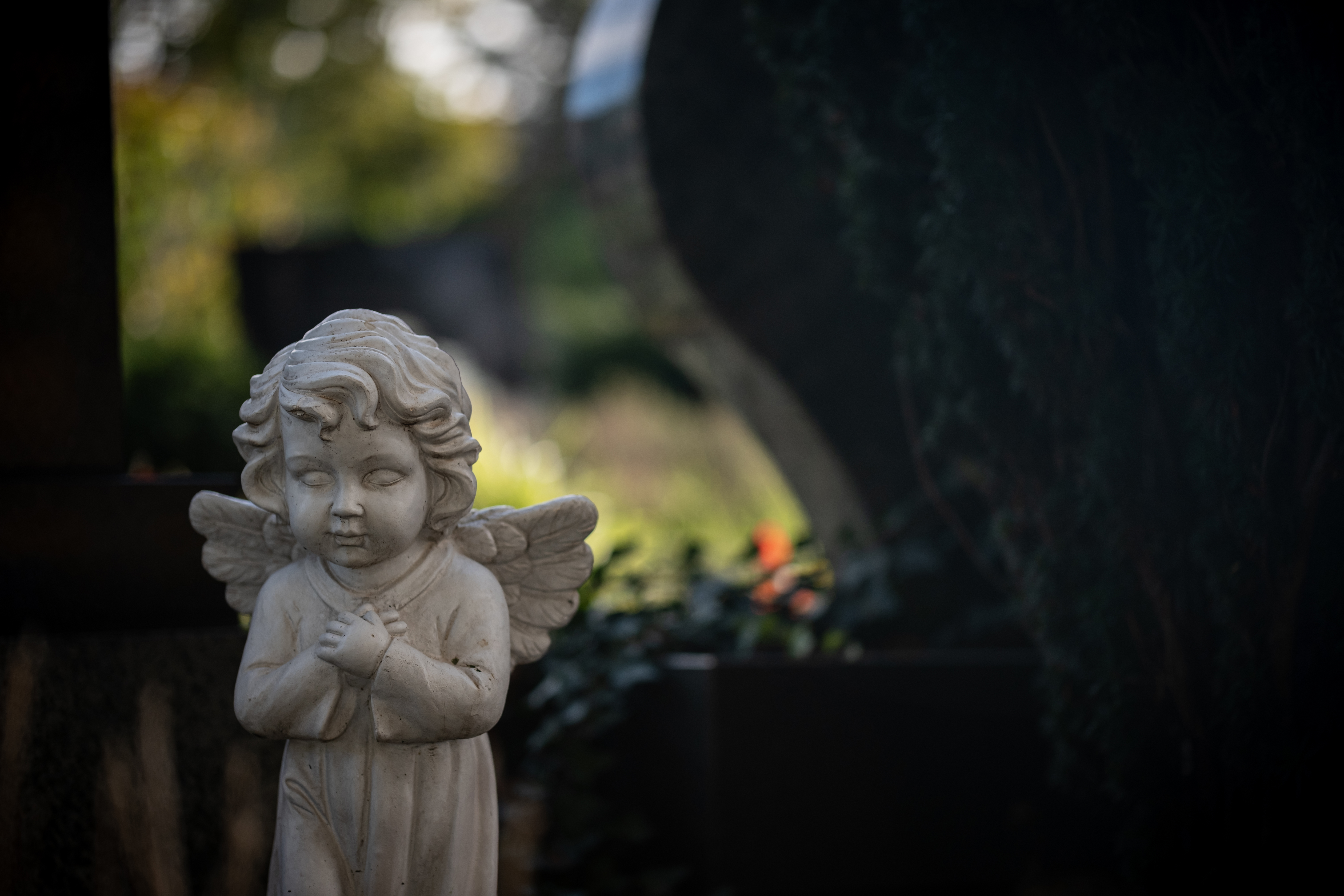 Text zum Kopieren: Naturfriedhof Langen, Hessen, aufgenommen im Oktober 2023
Der Langener Friedhof ist 100.000 Quadratmeter groß und durch seinen Grünanteil und die hohe Baumdichte parkähnlich und sehr naturnah geprägt.