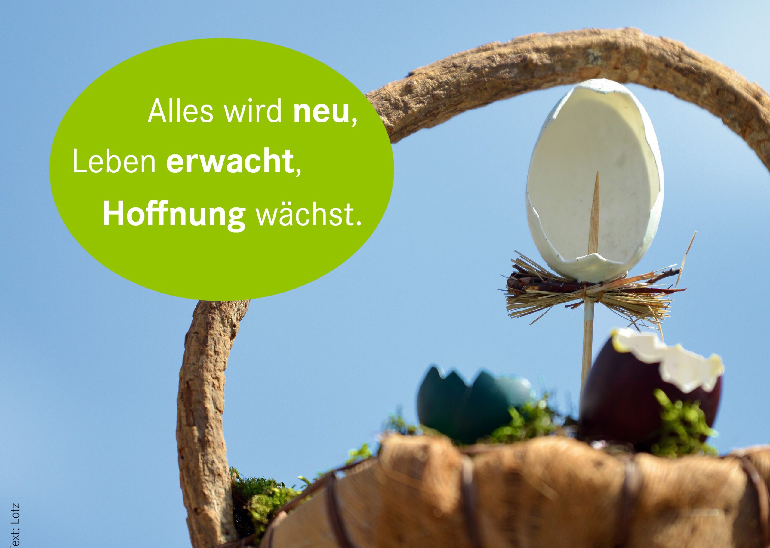 Text zum Kopieren: Ostern
Alles wird neu,
Leben erwacht,
Hoffnung wächst.
Foto/Text: Lotz